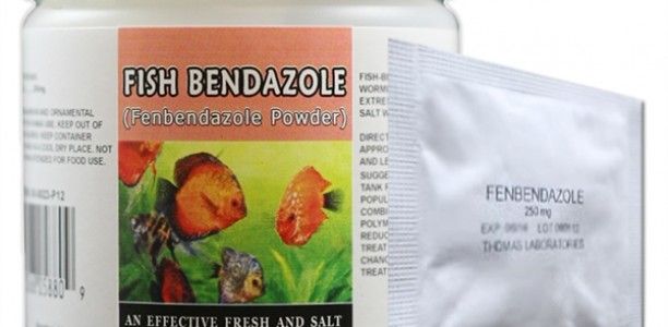Fish Bendazole Forte – Fenbendazole (Panacur C)