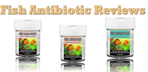 Fish Antibiotic Reviews